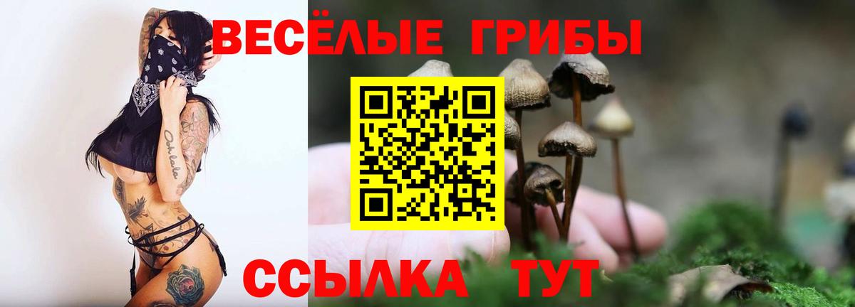 Галлюциногенные грибы GOLDEN TEACHER Барнаул